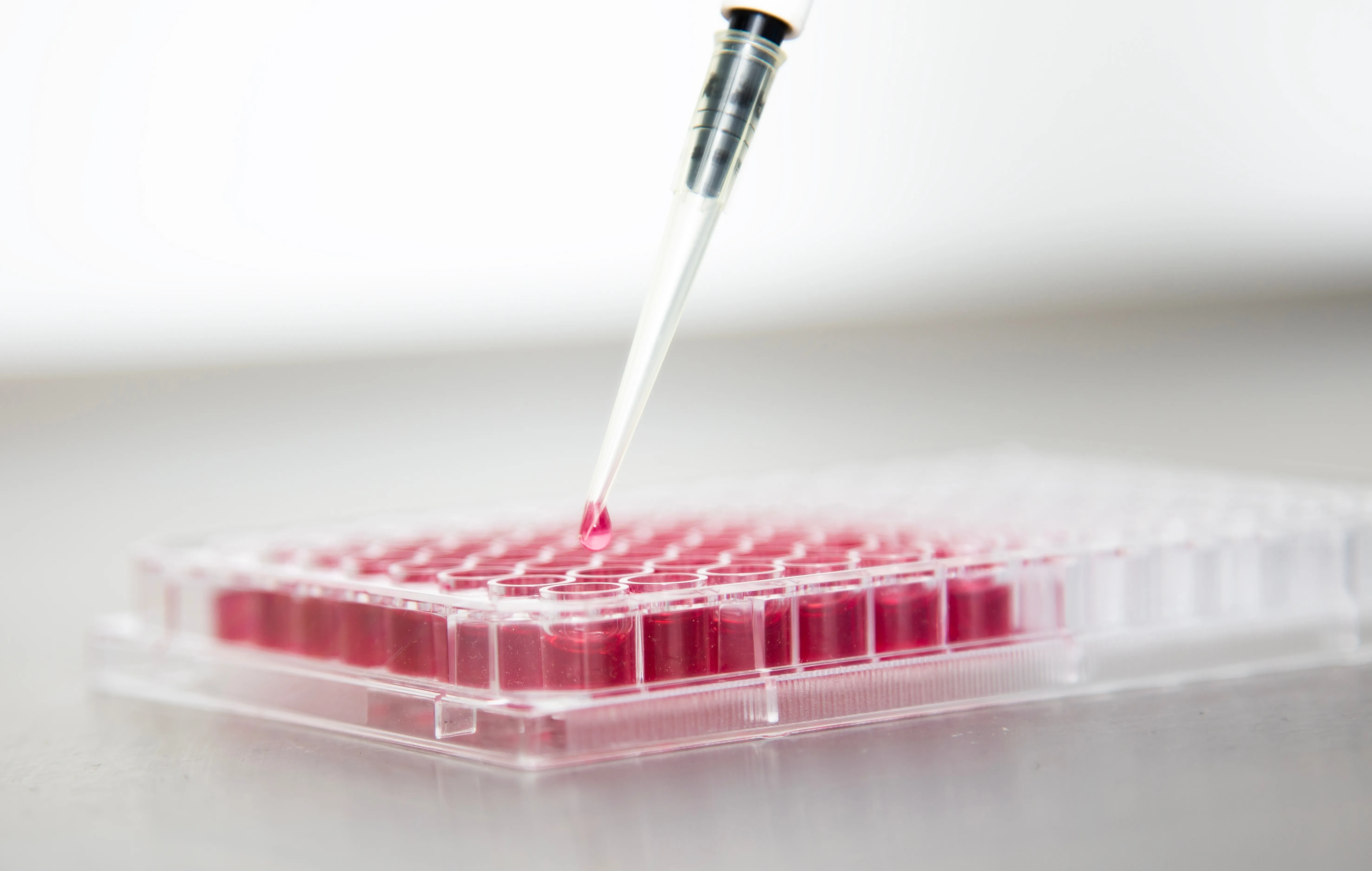 Cell Culture Application - Esco Lifesciences Cell Culture Application - Esco Lifesciences